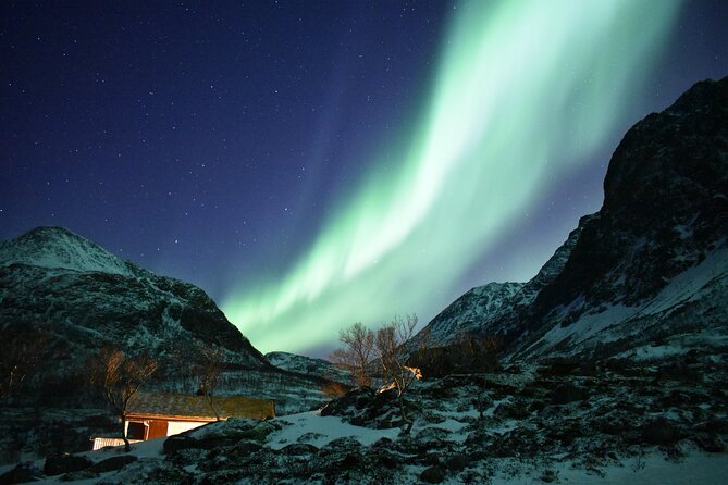 The Aurora Tour - Small Group 4 Ppl, Northern Lights - Booking Assistance and Resources