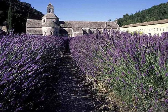 The Lavender Country - Private Tour With a Local Guide - Pricing and Terms