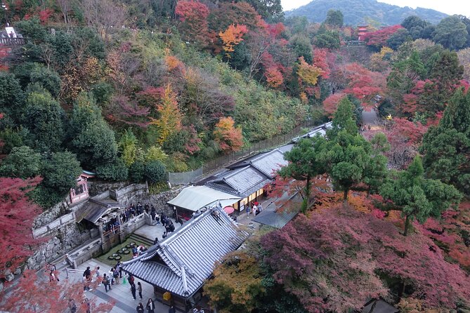 The Original Early Bird Tour of Kyoto. - Contact and Support