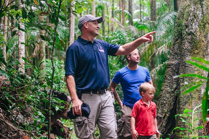 The Tastes of Tamborine Mountain - Learn About the Mountains History