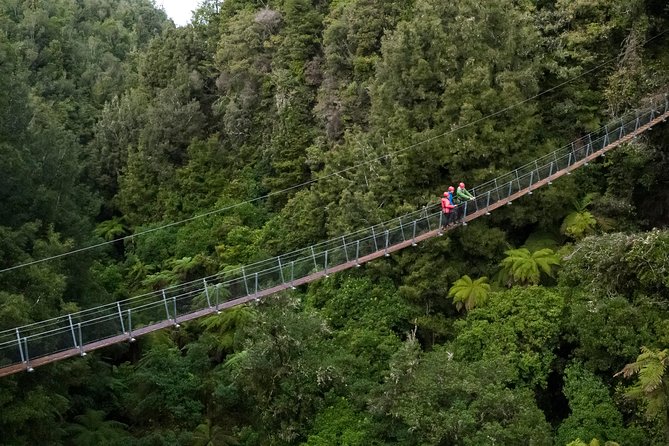 The Ultimate Canopy Zipline Experience Private Tour From Auckland - Common questions