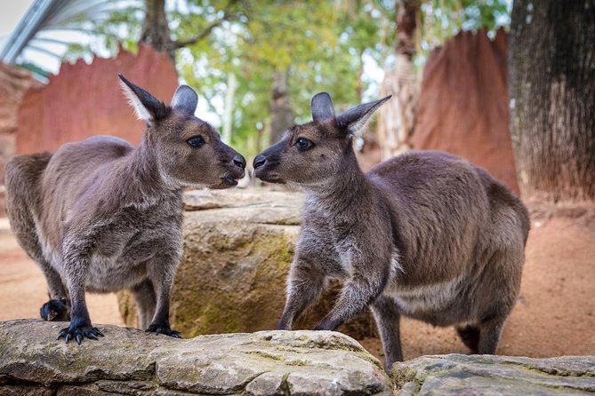 The Ultimate Sydney Attractions Pass - Last Words