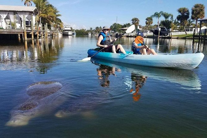 Thousand Island Mangrove Tunnel, Manatee & Dolphin Kayak Tour W/Cocoa Kayaking - Equipment and Facilities