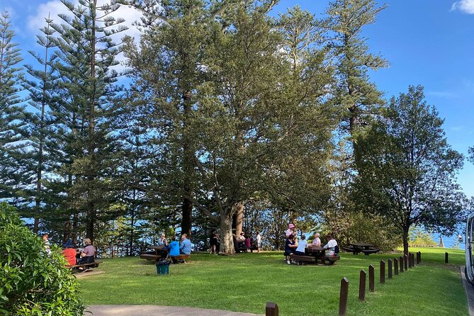 Three-Hour Guided Bushwalk With Breakfast, Cook Monument (Mar ) - Provider Details