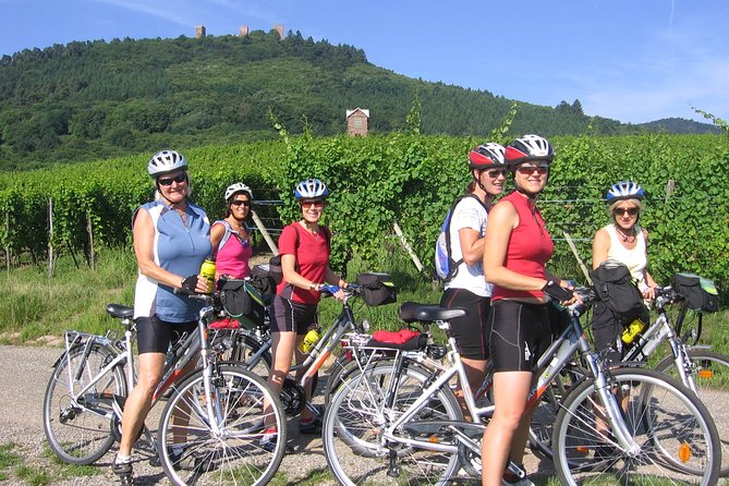 Through Alsace Vineyards and Wine Villages Private Bike Tour - Reviews and Visitor Feedback