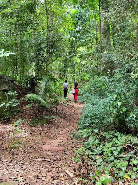 Tijuca Forests Hike: Caves, Waterfalls and Great Views - Customer Reviews