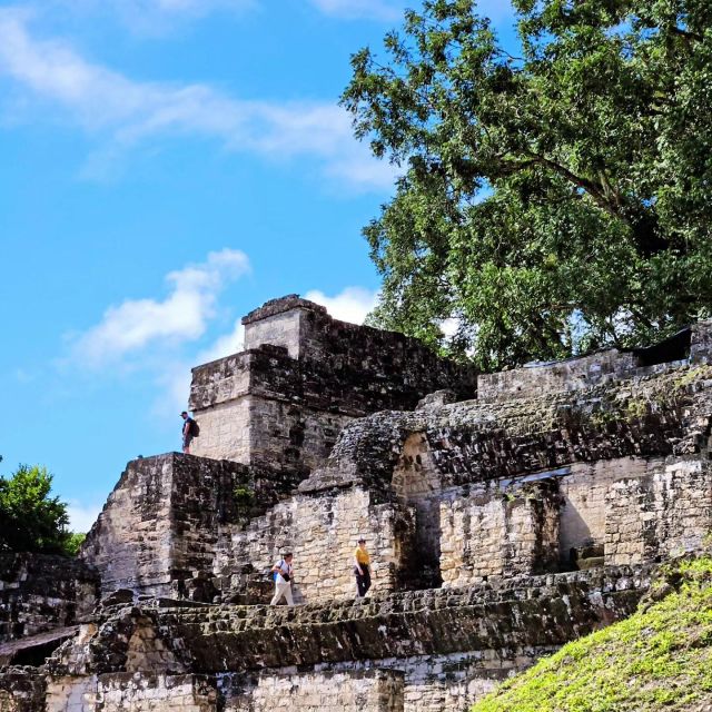 Tikal From Flores: With Transportation Lunch and Local Guide - Return Journey