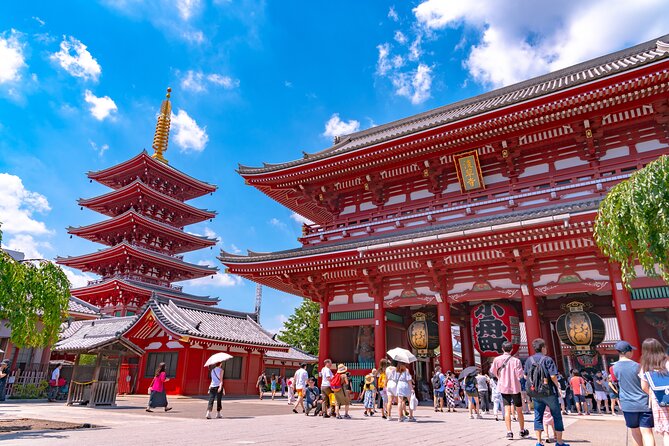 Tokyo 6hr Instagram Highlights Private Tour With Licensed Guide - Customizable Experience