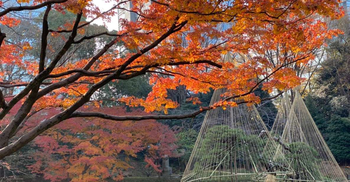 Tokyo: Full Day Tour, Private Guide&Customizable Itinerary - Common questions