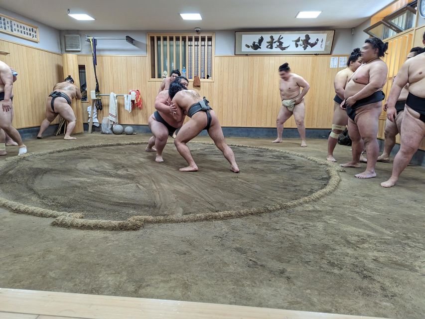 Tokyo: Morning Sumo Practice Viewing - Witness Intense Practice Matches