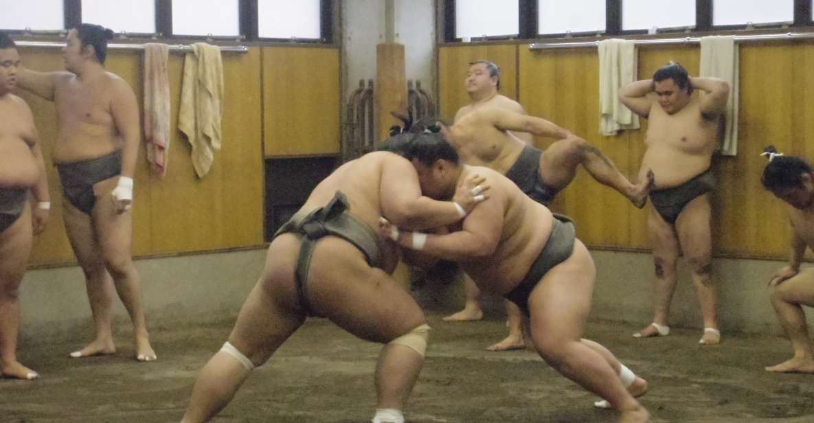 Tokyo: Sumo Morning Practice Viewing Tour - Additional Information