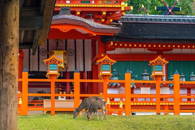 Tokyo to Kyoto and Nara One Full Day Private Tour - Return Journey to Tokyo
