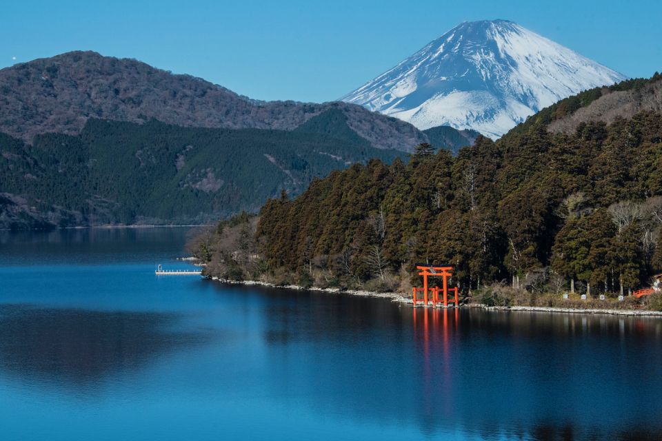 Tokyo to Mount Fuji and Hakone Private Full-day Tour - Customer Reviews and Popularity