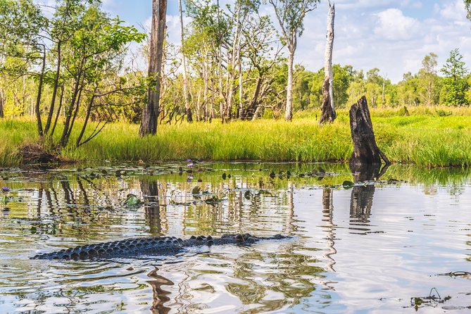 Top End Safari Camp Overnight Tour - Additional Information and Resources