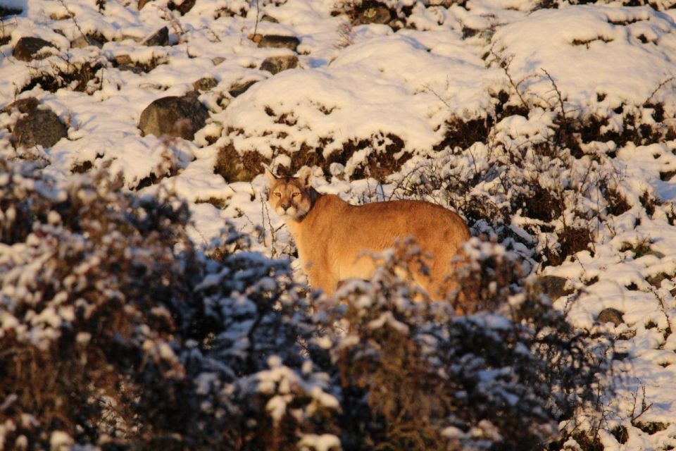 Torres Del Paine Photographic Safari - Common questions