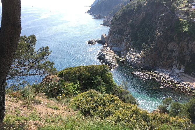 Tossa De Mar and Boat Along the Costa Brava From Barcelona - Tossa De Mars Culinary Delights