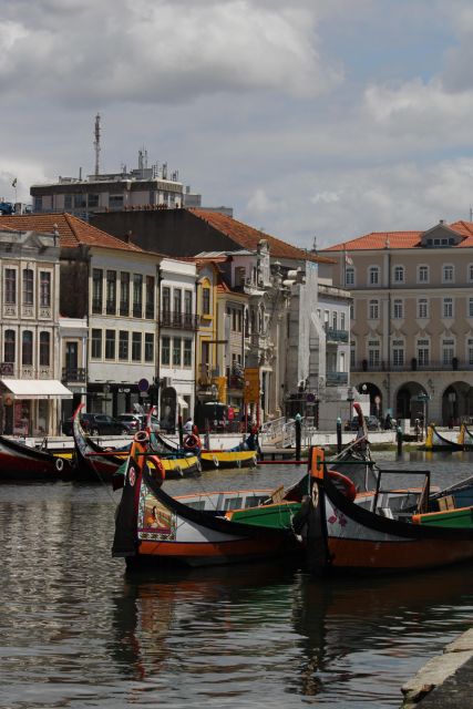 Tour Porto and Aveiro *Private Tours* - Aveiro Canals and Architectural Beauty