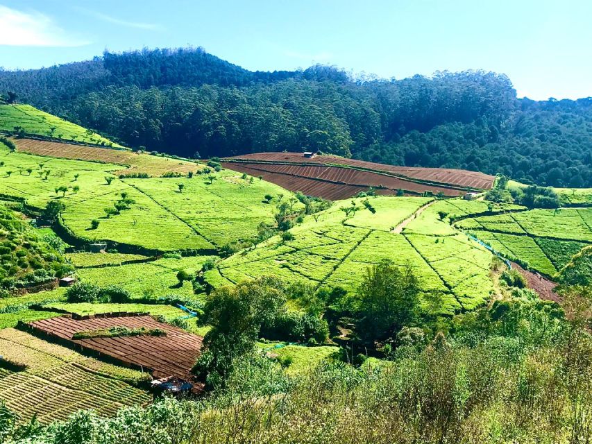 Trail Running From Haputele to Bambarakanda Water Falls - Last Words