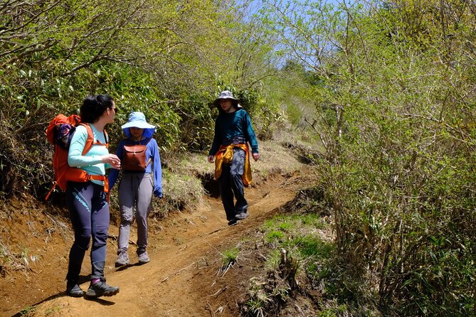 Traverse Outer Rim of Hakone Caldera and Enjoy Onsen Hiking Tour - Common questions