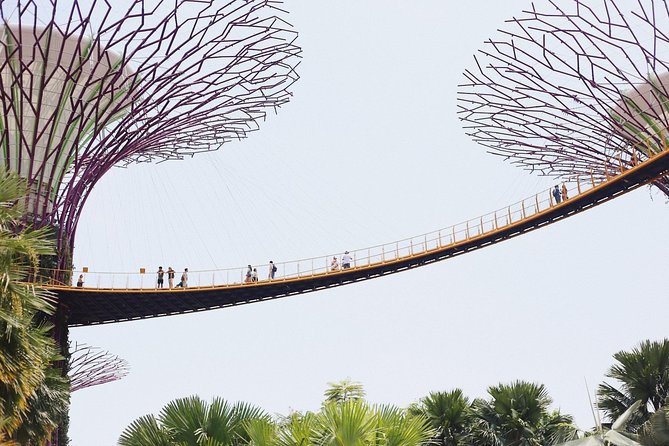 Treasures of Singapore: Gardens by the Bay Private Tour - Visual Experience Documentation