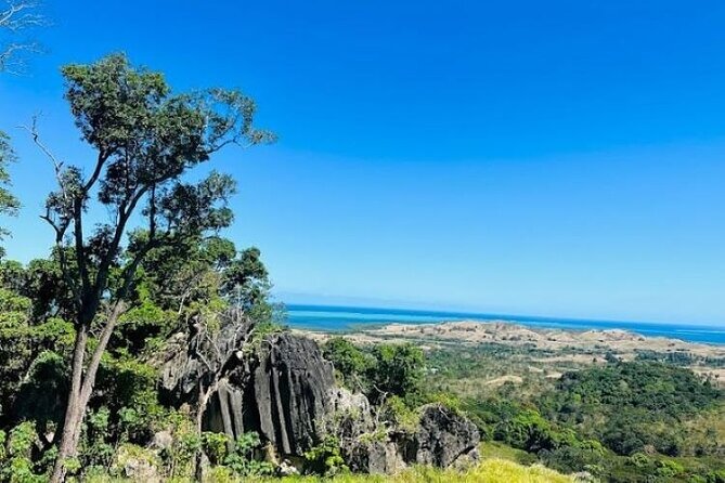 Treetops Zipline Tour With Drop off Transfer to Nadi Airport - Contact Details