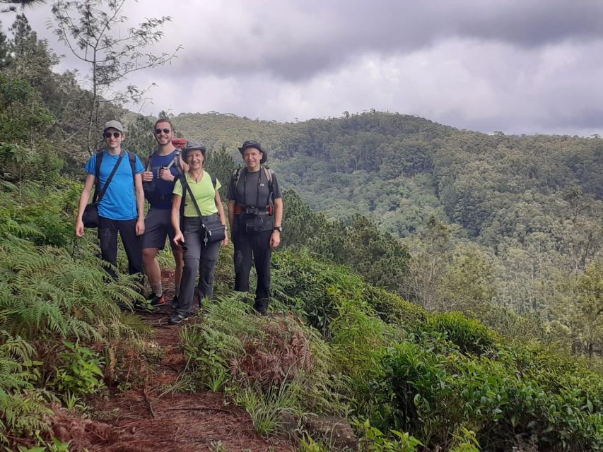 Trekking From Kandy to Ella - Highlights of Diverse Wildlife and Landscapes