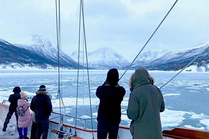 Tromso Luxury Sailing Yacht Polar Fjord Cruise With Lunch - Guest Experiences and Positive Feedback