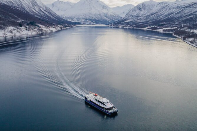 Tromsø, Northern Lights and Wilderness Evening Catamaran Cruise - Last Words