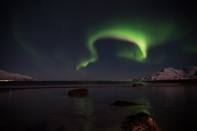 Tromsø Norway - Small Group Aurora Hunt Tour With a Local Guide - Cancellation Policy Details