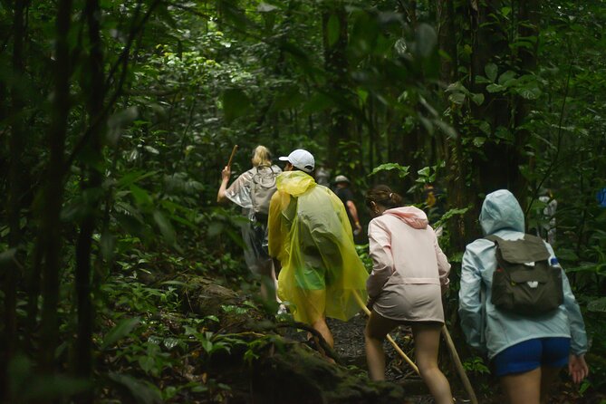 Tropical Rainforest, Hanging Bridges And Jungle Sloths Sanctuary - Last Words