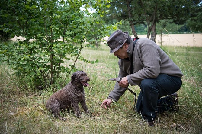 Truffle Hunting and Tasting Experience  - Beaune - Accessibility Information