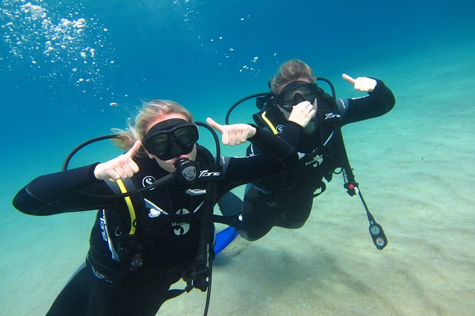Try a DIVE, Discover Scuba Diving in Mykonos - Traveler Reviews Overview
