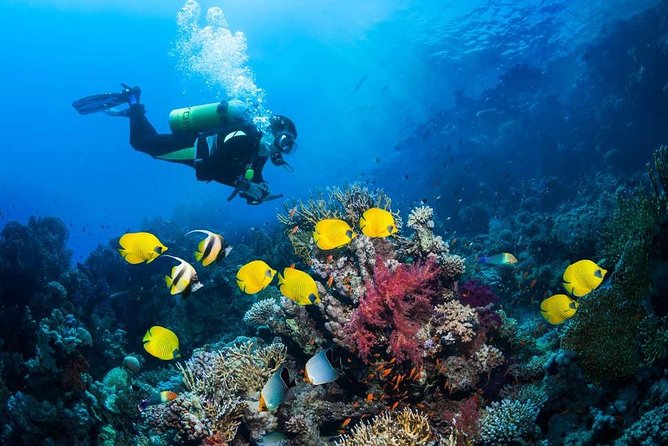 Tulamben Diving USS Liberty Shipwreck Scuba Dive - Directions