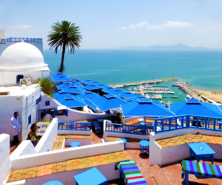 Tunis Governorate: Full-Day Tour - Additional Details