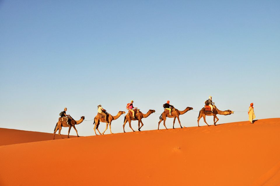 Tunisia: 3-Day Sahara Desert Camel Trek From Douz - Directions