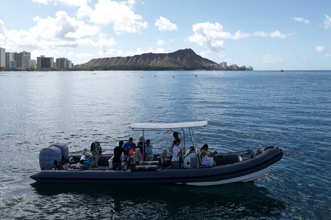 Turtle Canyon Snorkel (Semi Private Boat Tours) - Crew Experience and Appreciation