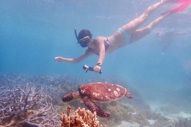 Turtle Tour - Ningaloo Reef Half Day Sea Kayak and Snorkel Tour - Customer Testimonials