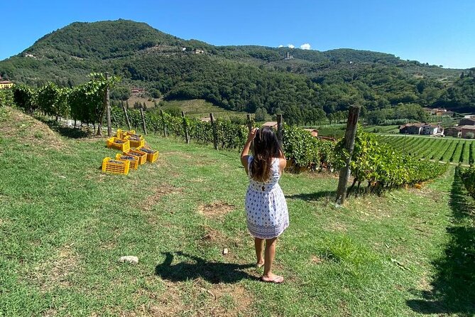 Tuscan Wine Tour in Lucca by Shuttle - Additional Tour Details