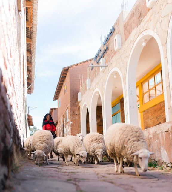 Two Day Tour of Lake Titicaca With Homestay in Amantani - Booking and Logistics