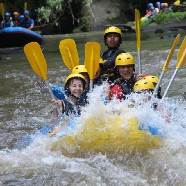 Ubud : Atv-Quad Bike & White Water Rafting With Lunch - Customer Experience and Feedback
