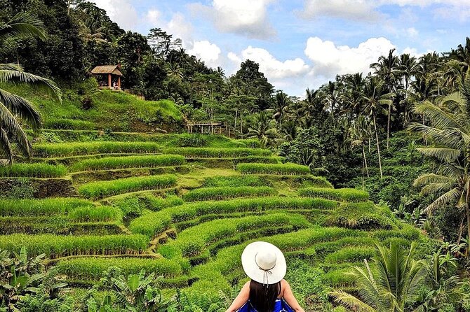 Ubud DayTrip : Monkey Forest - Rice Terrace - Jungle Swing - Water Temple - Additional Information