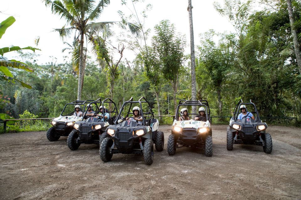 Ubud: Full-Day Mountain Biking and Jungle Buggy Experience - Adventure Highlights
