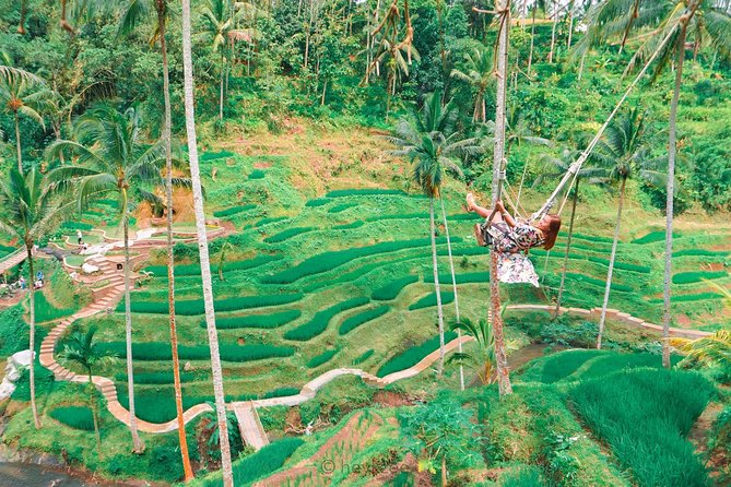 Ubud in a Day: Rice Terrace, Holy Water Temple, Waterfall, Arts - Practical Tips for Your Visit