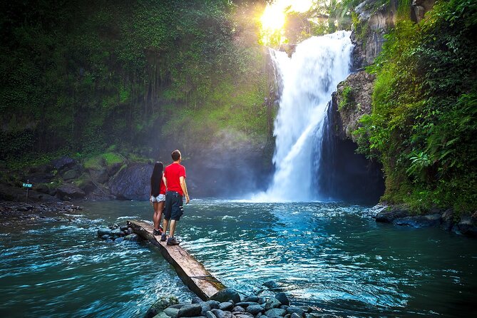 Ubud Private Tours With Jungle Swing Experience - All Inclusive - Additional Services Offered