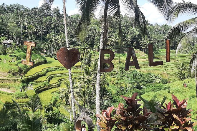 Ubud Private Transport-Only Tour With Stop at Rice Field Swing - Customer Reviews