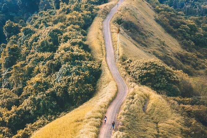 Ubud Tour With Sacred Monkey Forest Sanctuary - Waterfall - Rice Terrace - Packing Essentials for the Tour