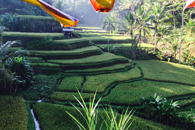 Ubud ,waterfalls And ,swing Day Tour - Last Words