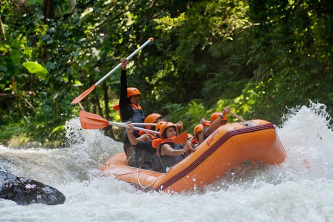Ubud Whitewater Rafting Day Tour With Lunch and Hotel Transfer - Common questions