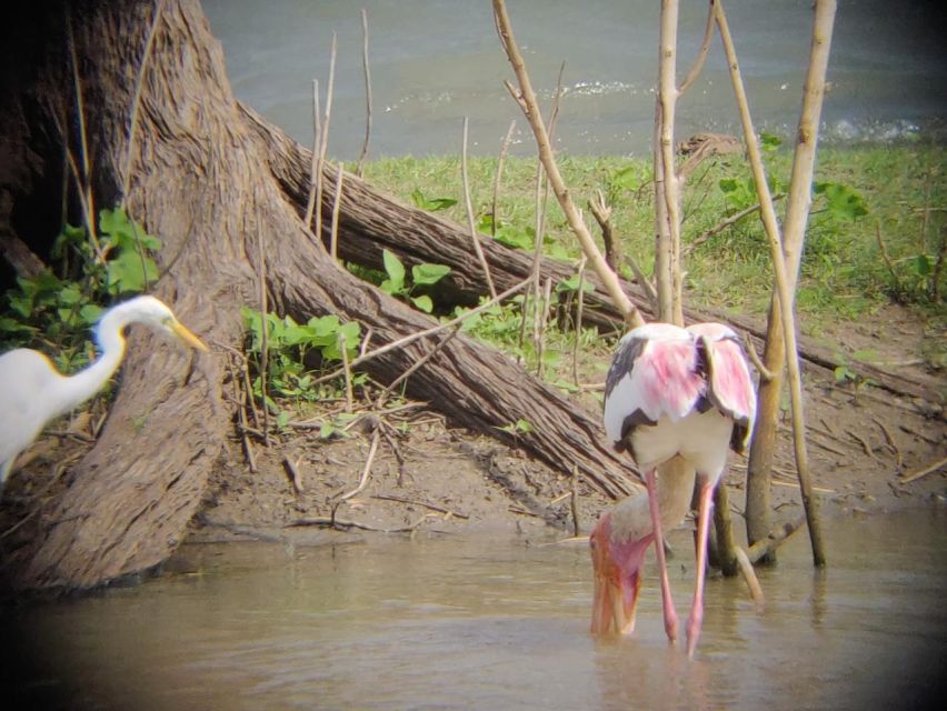 Udawalawe National Park Full Day-10 Hours All Inclusive - Additional Information