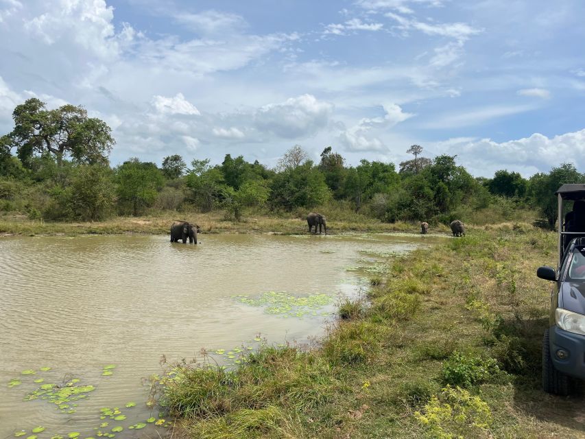 Udawalawe National Park Wildlife Safari From Galle - Pricing and Conditions for Visitors